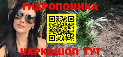 дмт Краснодар