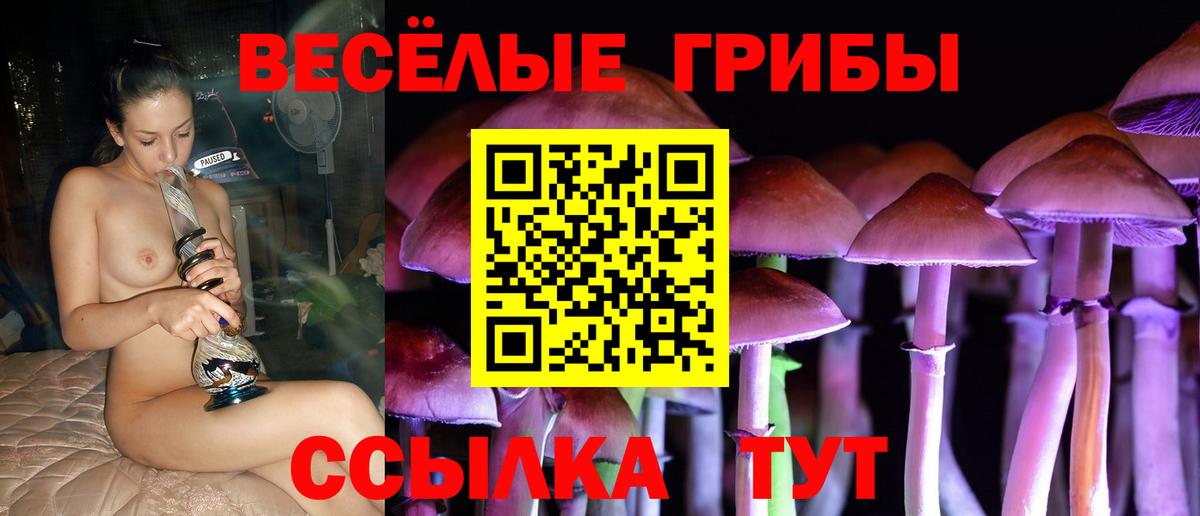 Карталы  Галлюциногенные грибы мухоморы  Галлюциногенные грибы Cubensis  Вход с VPN 