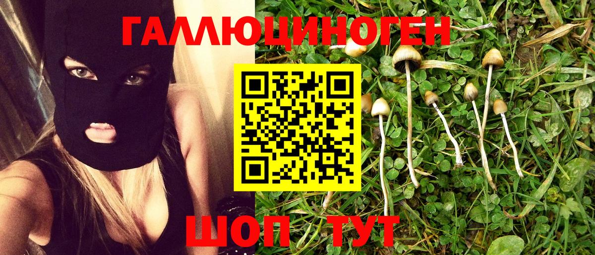 Псилоцибиновые грибы Psilocybine cubensis Карталы